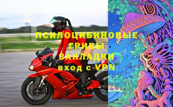 дживик Баксан
