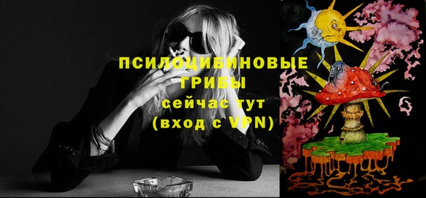 дживик Баксан